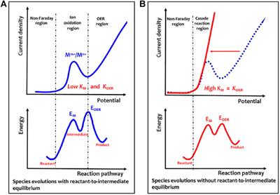Physical Basis of Multi-Energy Coupling-Driven Water Oxidation